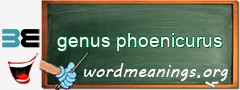 WordMeaning blackboard for genus phoenicurus